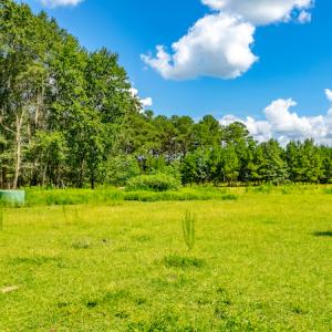 Photo #22 of SOLD property in Off Galloway Road, Grimesland, NC 19.1 acres