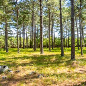 Photo #24 of SOLD property in Off Galloway Road, Grimesland, NC 19.1 acres