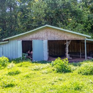 Photo #28 of SOLD property in Off Galloway Road, Grimesland, NC 19.1 acres