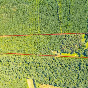 Photo #2 of SOLD property in Off Galloway Road, Grimesland, NC 19.1 acres