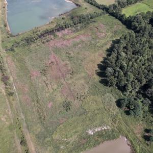 Photo #10 of SOLD property in 1241 Gum Swamp Road, Greenville, NC 43.0 acres