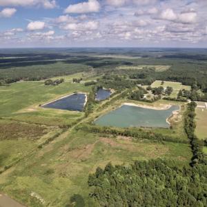 Photo #12 of SOLD property in 1241 Gum Swamp Road, Greenville, NC 43.0 acres