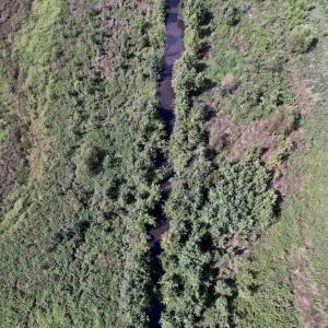 Photo #21 of SOLD property in 1241 Gum Swamp Road, Greenville, NC 43.0 acres