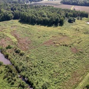 Photo #24 of SOLD property in 1241 Gum Swamp Road, Greenville, NC 43.0 acres