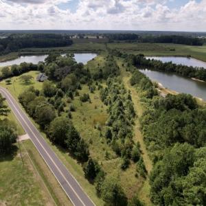 Photo #27 of SOLD property in 1241 Gum Swamp Road, Greenville, NC 43.0 acres