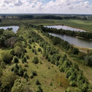 Photo #28 of SOLD property in 1241 Gum Swamp Road, Greenville, NC 43.0 acres
