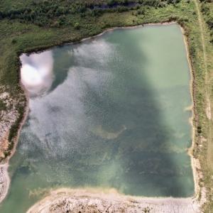 Photo #5 of SOLD property in 1241 Gum Swamp Road, Greenville, NC 43.0 acres