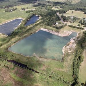 Photo #7 of SOLD property in 1241 Gum Swamp Road, Greenville, NC 43.0 acres
