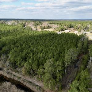 Photo #11 of SOLD property in Off Lowland Road, Lowland, NC 2.7 acres