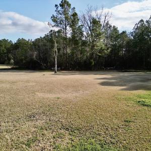 Photo #16 of SOLD property in Off Lowland Road, Lowland, NC 2.7 acres