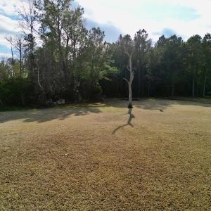 Photo #17 of SOLD property in Off Lowland Road, Lowland, NC 2.7 acres