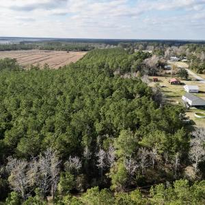 Photo #4 of SOLD property in Off Lowland Road, Lowland, NC 2.7 acres