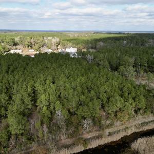 Photo #10 of SOLD property in Off Lowland Road, Lowland, NC 2.7 acres