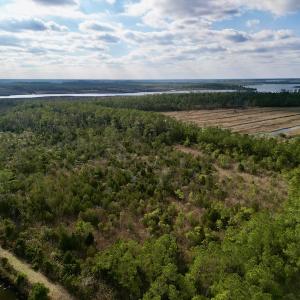 Photo #19 of SOLD property in Off Lowland Road, Lowland, NC 38.8 acres