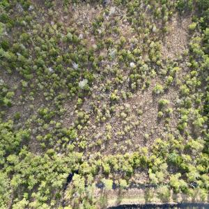 Photo #20 of SOLD property in Off Lowland Road, Lowland, NC 38.8 acres