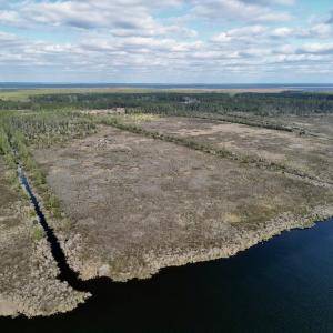 Photo #8 of SOLD property in Off Lowland Road, Lowland, NC 38.8 acres