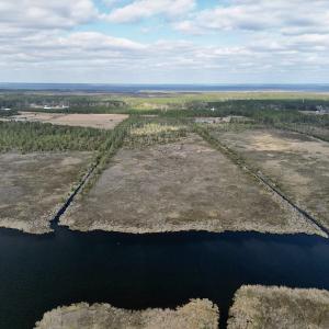 Photo #9 of SOLD property in Off Lowland Road, Lowland, NC 38.8 acres