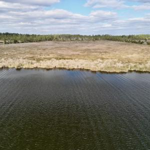 Photo #10 of SOLD property in Off Lowland Road, Lowland, NC 38.8 acres
