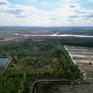 Photo #21 of SOLD property in Off Lowland Road, Lowland, NC 41.5 acres