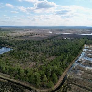 Photo #22 of SOLD property in Off Lowland Road, Lowland, NC 41.5 acres