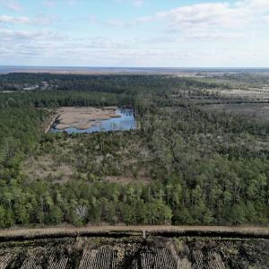 Photo #23 of SOLD property in Off Lowland Road, Lowland, NC 41.5 acres