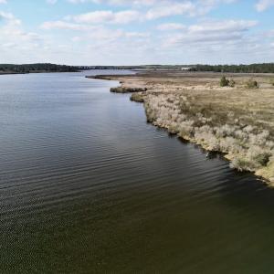 Photo #30 of SOLD property in Off Lowland Road, Lowland, NC 41.5 acres