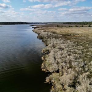 Photo #31 of SOLD property in Off Lowland Road, Lowland, NC 41.5 acres
