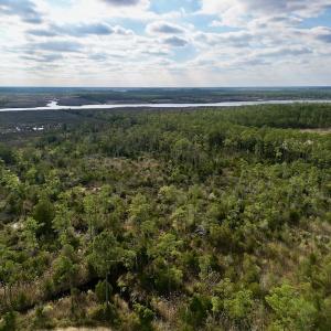 Photo #37 of SOLD property in Off Lowland Road, Lowland, NC 41.5 acres