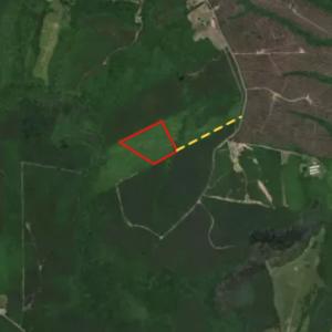 Photo #20 of SOLD property in Off Beamon Hunt Road, Warrenton, NC 16.0 acres