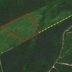 Photo #1 of SOLD property in Off Beamon Hunt Road, Warrenton, NC 16.0 acres