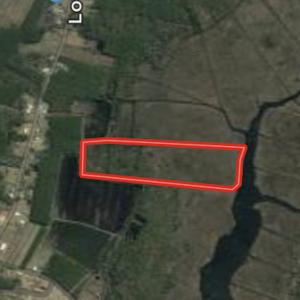 Photo #1 of SOLD property in Off Lowland Road, Lowland, NC 38.8 acres