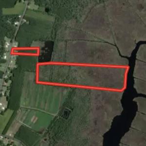 Photo #1 of SOLD property in Off Lowland Road, Lowland, NC 41.5 acres