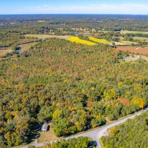 Photo #11 of SOLD property in 1282 Country Club Drive, Chase City, VA 64.1 acres