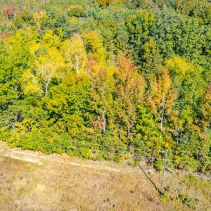 Photo #14 of SOLD property in 1282 Country Club Drive, Chase City, VA 64.1 acres