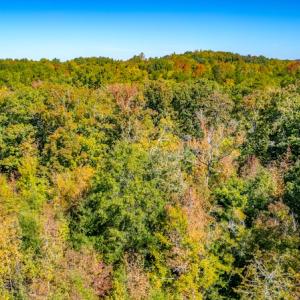 Photo #19 of SOLD property in 1282 Country Club Drive, Chase City, VA 64.1 acres