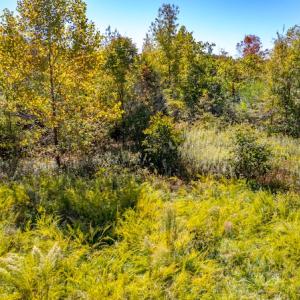 Photo #21 of SOLD property in 1282 Country Club Drive, Chase City, VA 64.1 acres