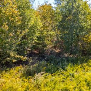 Photo #22 of SOLD property in 1282 Country Club Drive, Chase City, VA 64.1 acres