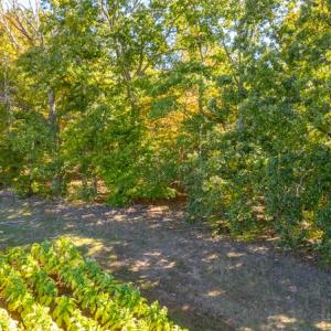 Photo #25 of SOLD property in 1282 Country Club Drive, Chase City, VA 64.1 acres
