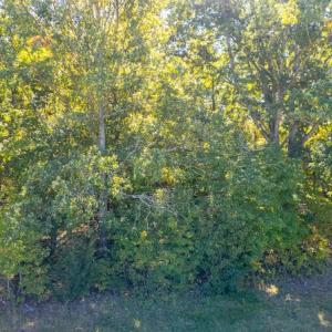 Photo #26 of SOLD property in 1282 Country Club Drive, Chase City, VA 64.1 acres