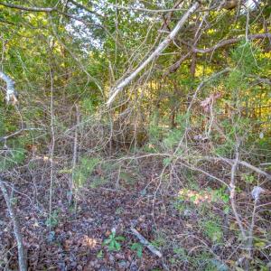 Photo #27 of SOLD property in 1282 Country Club Drive, Chase City, VA 64.1 acres