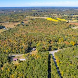 Photo #13 of SOLD property in 1282 Country Club Drive, Chase City, VA 64.1 acres