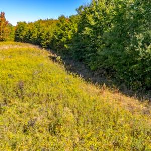 Photo #28 of SOLD property in 1282 Country Club Drive, Chase City, VA 64.1 acres