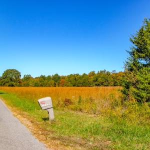 Photo #29 of SOLD property in 1282 Country Club Drive, Chase City, VA 64.1 acres