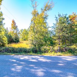 Photo #32 of SOLD property in 1282 Country Club Drive, Chase City, VA 64.1 acres