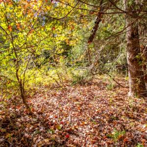 Photo #37 of SOLD property in 1282 Country Club Drive, Chase City, VA 64.1 acres