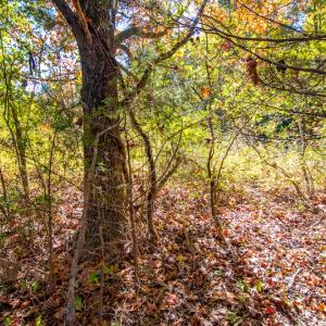Photo #38 of SOLD property in 1282 Country Club Drive, Chase City, VA 64.1 acres