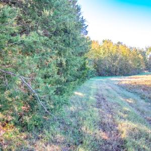 Photo #42 of SOLD property in 1282 Country Club Drive, Chase City, VA 64.1 acres