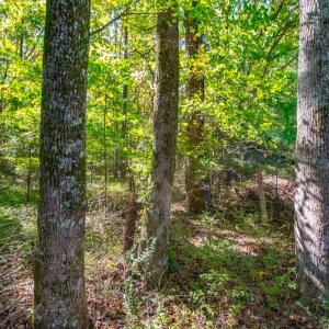 Photo #40 of SOLD property in 1282 Country Club Drive, Chase City, VA 64.1 acres