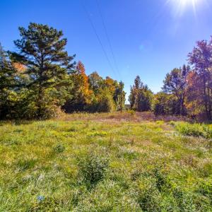 Photo #43 of SOLD property in 1282 Country Club Drive, Chase City, VA 64.1 acres