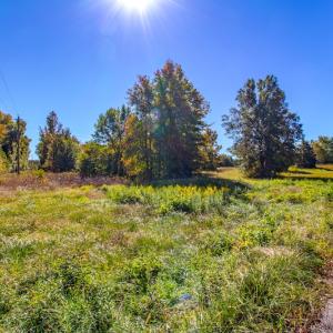 Photo #45 of SOLD property in 1282 Country Club Drive, Chase City, VA 64.1 acres